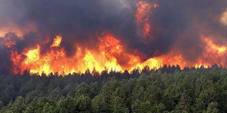 Misiones en alerta por incendios