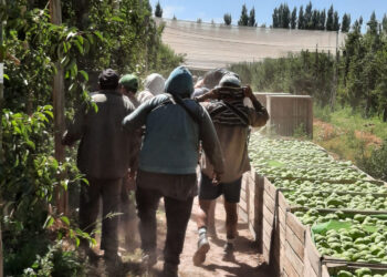 El RENATRE: montos de la Prestación por Desempleo  y una nueva actualización