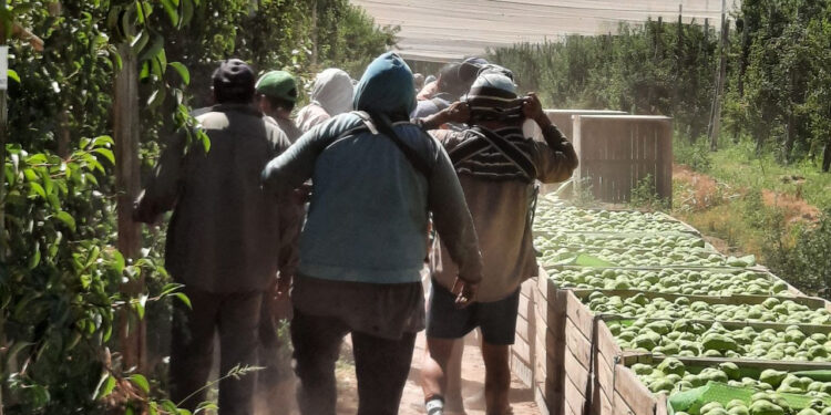 El RENATRE: montos de la Prestación por Desempleo  y una nueva actualización