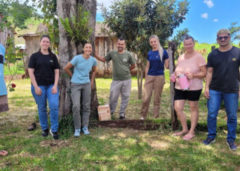 Productores de El Soberbio apuestan a la meliponicultura