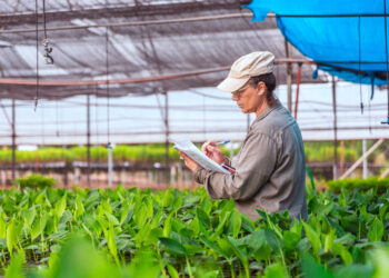 Biotecnología Misionera en la agroindustria  nacional y provincial