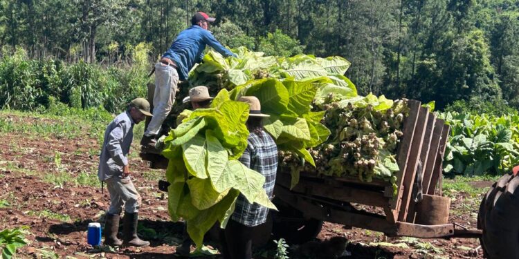 Más de 70 mil millones de pesos de FET a Misiones