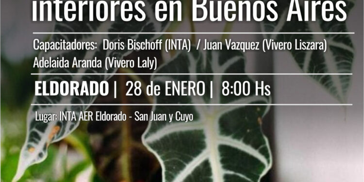 Capacitan en comercialización de plantas en Buenos Aires