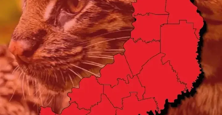 Riesgo extremo de incendios en todo el territorio provincial