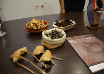 Capacitan en Hongos Misioneros