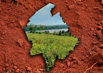 Presentaron la cartografía semidetallada de suelos de Guaraní