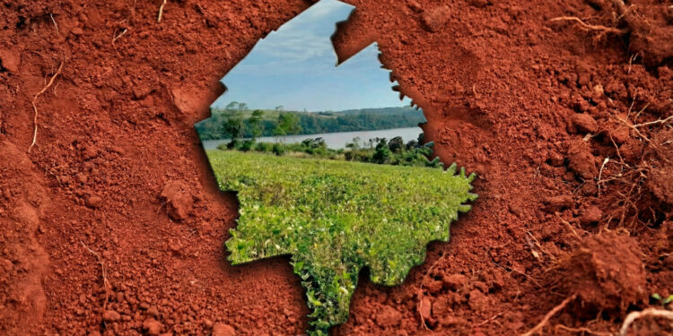 Presentaron la cartografía semidetallada de suelos de Guaraní