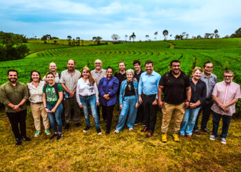 El té gourmet integra producción, calidad y agroturismo