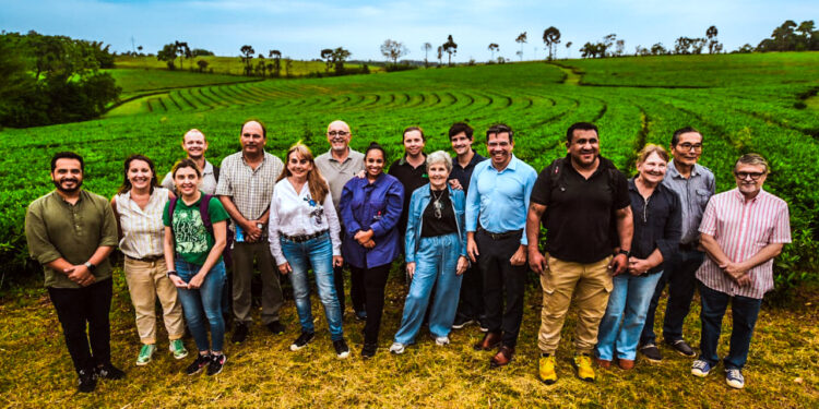 El té gourmet integra producción, calidad y agroturismo