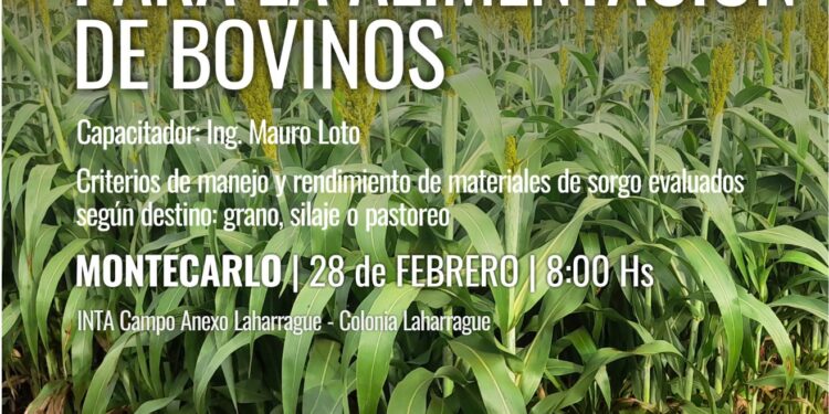 Jornada de campo en Montecarlo