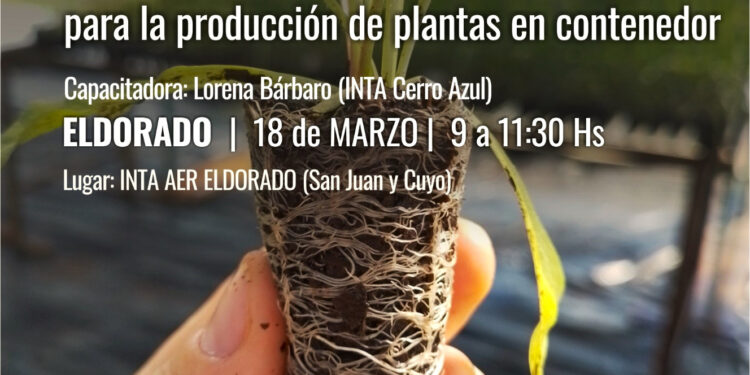 Jornada de Capacitación: SUSTRATOS para la producción de plantas en contenedor