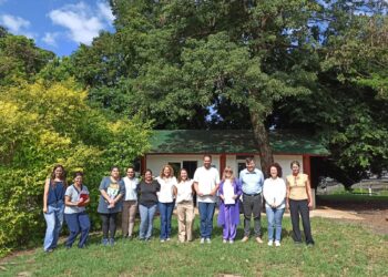 Bioinsumos: desarrollarán un hormiguicida biológico