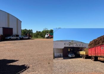 Tabaco: productores venden casi 200.000 kilos en Oberá y San Vicente