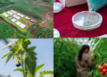 Biofábrica: Innovación productiva con base biológica