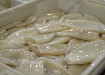 Argentina y el combate de la pesca ilegal extranjera