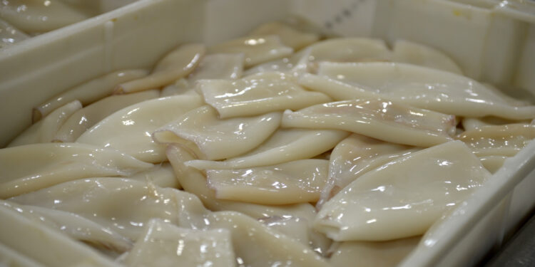 Argentina y el combate de la pesca ilegal extranjera