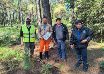 El RENATRE fortaleció la registración, la fiscalización y el trabajo decente en Misiones durante 2025