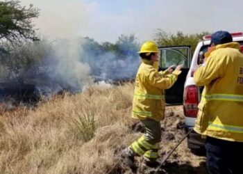 Alerta por los incendios forestales en Corrientes