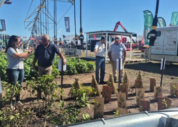 Genética aplicada al campo, la propuesta del INTA en Expoagro