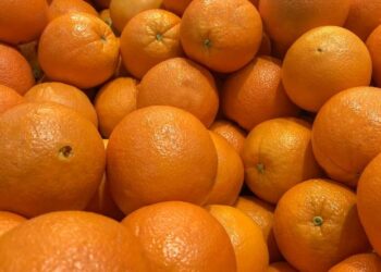 Corrientes busca abrir el mercado de Estados Unidos para naranjas y mandarinas