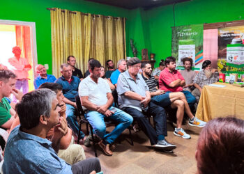 Pequeñas marcas de yerba mate para fortalecer la comercialización