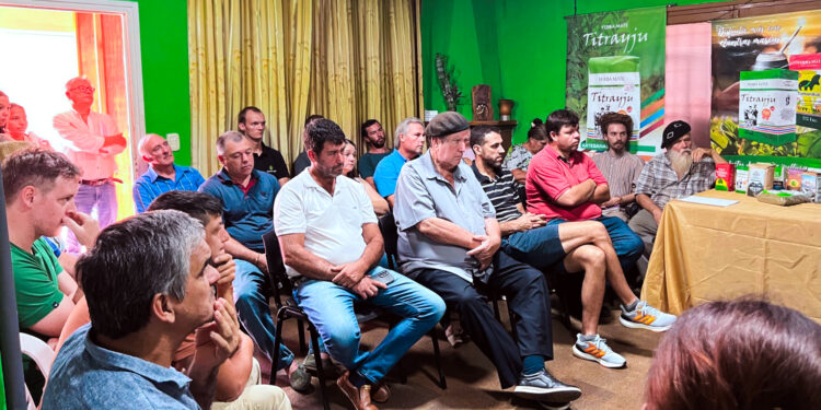 Pequeñas marcas de yerba mate para fortalecer la comercialización