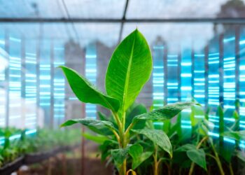 Biofábrica  y el análisis de ADN en la certificación de plantas