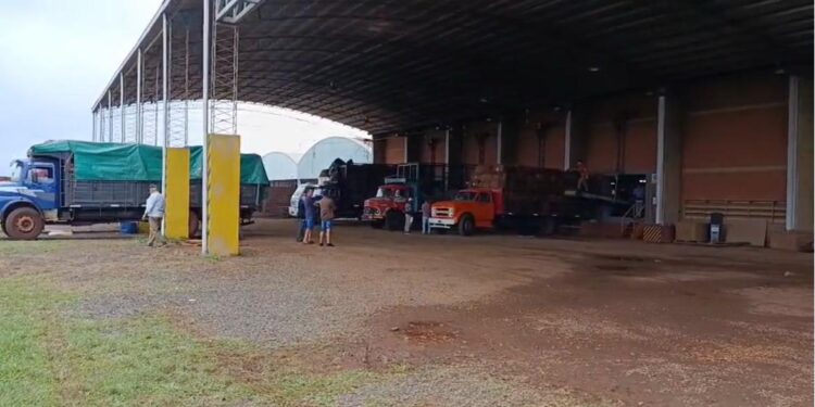 Se viene el “retorno” a los tabacaleros