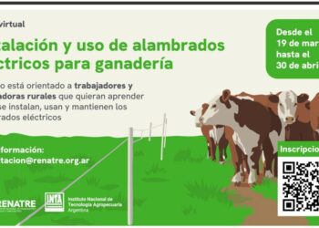 Capacitación virtual sobre alambrado eléctrico para ganadería con más de 800 inscriptos