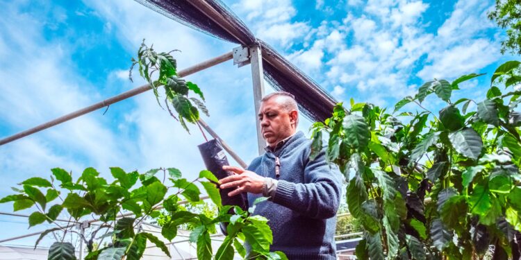 Jornada técnica sobre el cultivo de café  en Eldorado