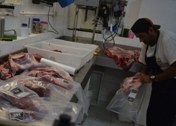 Corrientes  impulsa el crecimiento de la producción bufalina