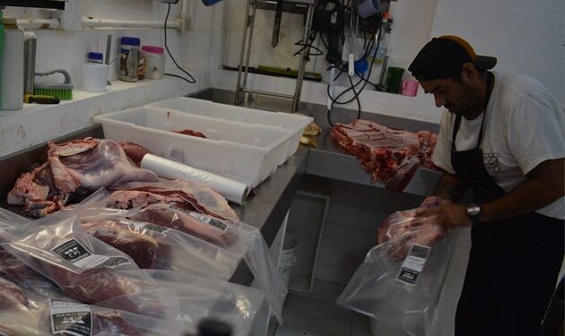 Corrientes  impulsa el crecimiento de la producción bufalina