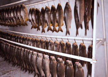 5 toneladas de pescado: la cosecha de Semana Santa en Misiones