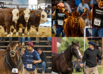 Las “nacionales” 2026 en  la Sociedad Rural de Corrientes