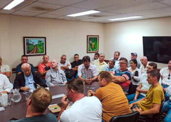 Gobierno de Misiones reunió a la cadena yerbatera ante la ausencia del INYM