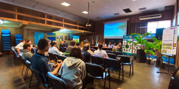 Fortalecer la sanidad del banano