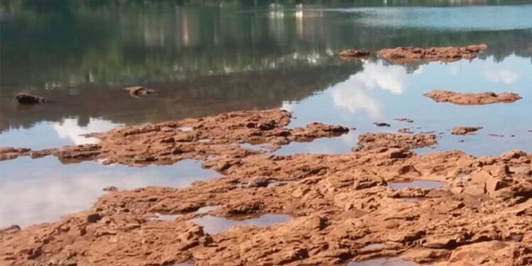 Baja el Uruguay: cierran el paso Panambí y Porto Vera Cruz