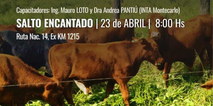 Jornada Ganadera en Salto Encantado