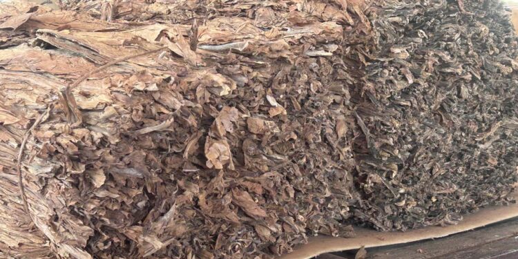 Tabaco: tras la primera vuelta del retorno, el sector espera un desembolso de $8.000 millones para antes de  fin de mes