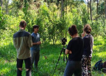 Sistemas agroforestales en Misiones: y las nuevas oportunidades