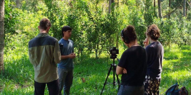 Sistemas agroforestales en Misiones: y las nuevas oportunidades