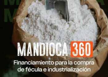 $800 millones para fortalecer la industria de la fécula de mandioca