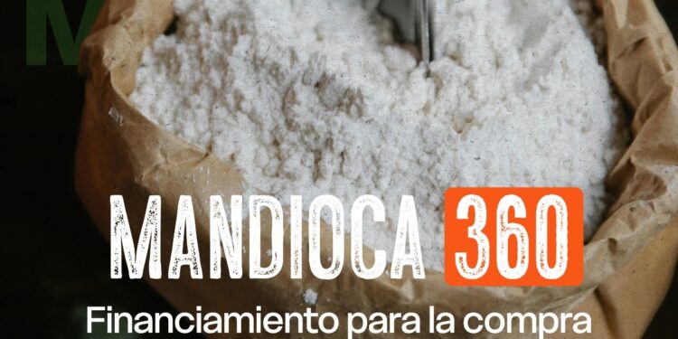 $800 millones para fortalecer la industria de la fécula de mandioca