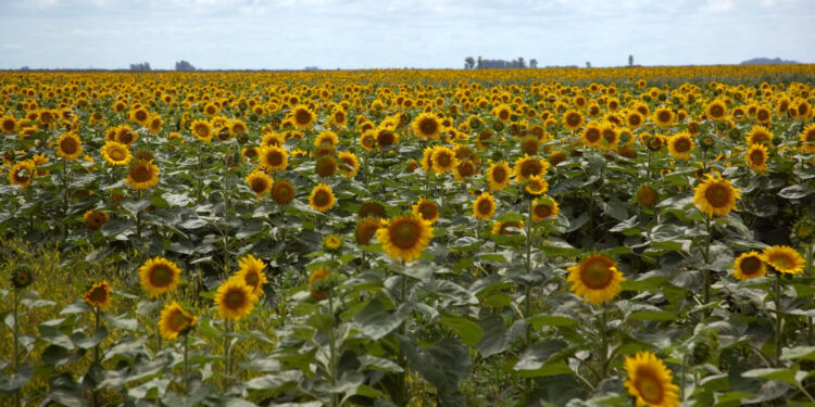 Ventas al Exterior alcanzaron nuevo récord histórico en marzo