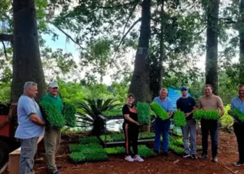 Fortalecen el cinturón productivo local con entrega de plantines y obras de infraestructura hídrica