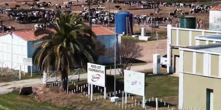 La Union de Cooperativas ganaderas obtiene la cuarta Certificación PLS del RENATRE