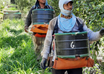 El RENATRE actualizó la Prestación por Desempleo y alcanza el monto máximo en $374.954