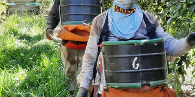 El RENATRE actualizó la Prestación por Desempleo y alcanza el monto máximo en $374.954