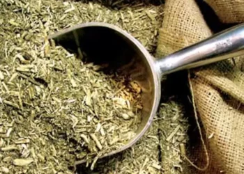 Yerba mate: Misiones toma la posta y convoca a una mesa de urgencia ante la parálisis del INYM
