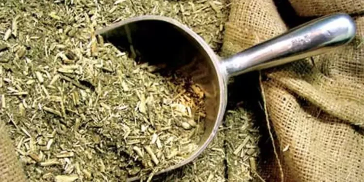 Yerba mate: Misiones toma la posta y convoca a una mesa de urgencia ante la parálisis del INYM